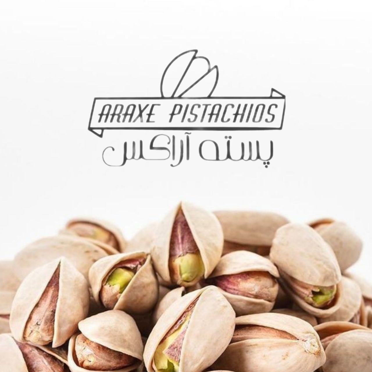 5834762571570333639 121